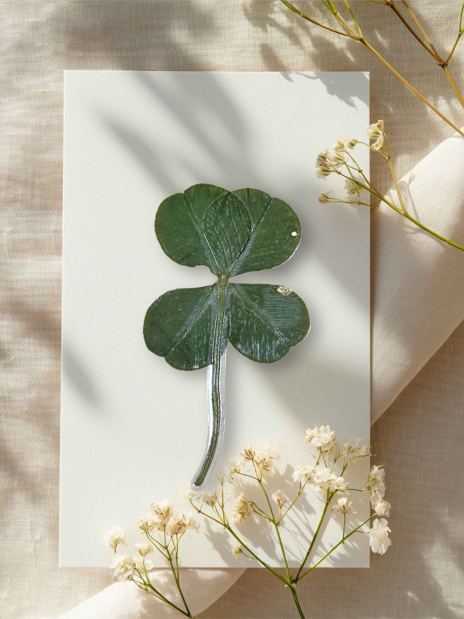 Trèfle à 4 Feuilles Cueilli à Champvent, Finition Dorée